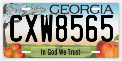 GA license plate CXW8565