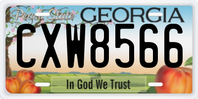 GA license plate CXW8566