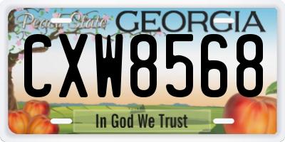 GA license plate CXW8568