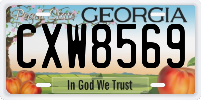 GA license plate CXW8569