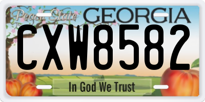 GA license plate CXW8582