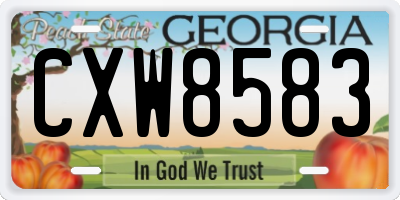 GA license plate CXW8583