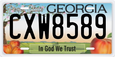 GA license plate CXW8589