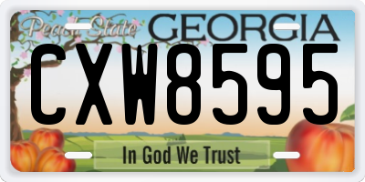 GA license plate CXW8595