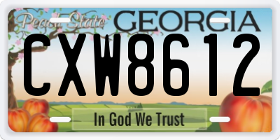 GA license plate CXW8612