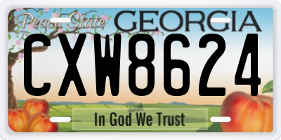 GA license plate CXW8624