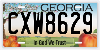 GA license plate CXW8629