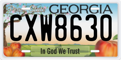 GA license plate CXW8630