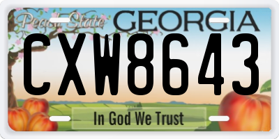GA license plate CXW8643