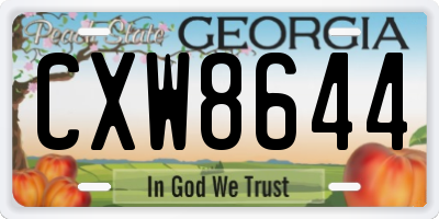 GA license plate CXW8644