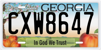GA license plate CXW8647