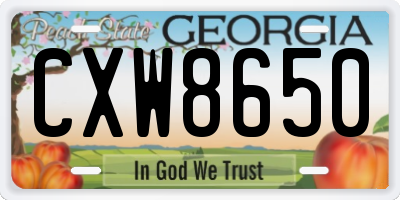 GA license plate CXW8650
