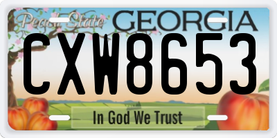 GA license plate CXW8653
