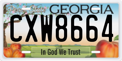 GA license plate CXW8664