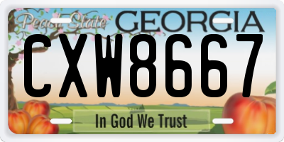 GA license plate CXW8667