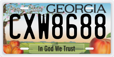 GA license plate CXW8688