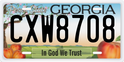 GA license plate CXW8708