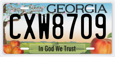 GA license plate CXW8709