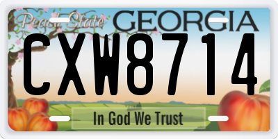 GA license plate CXW8714