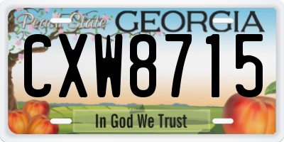 GA license plate CXW8715