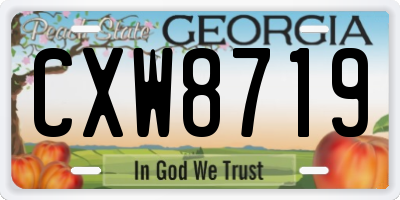 GA license plate CXW8719