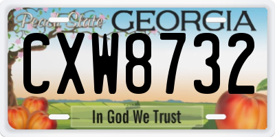 GA license plate CXW8732