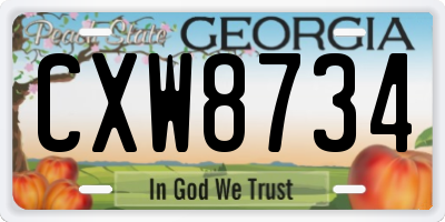 GA license plate CXW8734