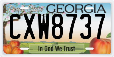 GA license plate CXW8737
