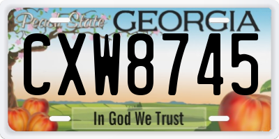 GA license plate CXW8745