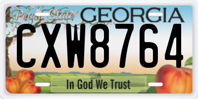 GA license plate CXW8764