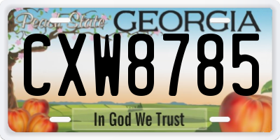 GA license plate CXW8785