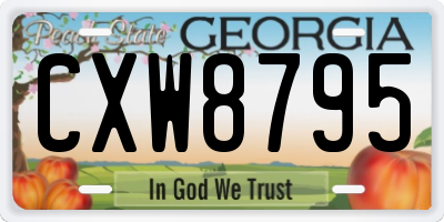 GA license plate CXW8795