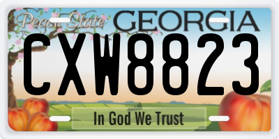 GA license plate CXW8823