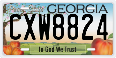 GA license plate CXW8824