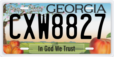 GA license plate CXW8827