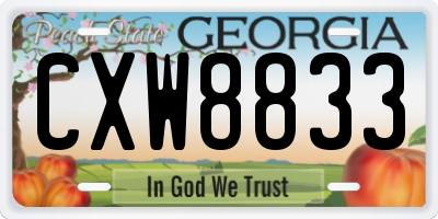 GA license plate CXW8833