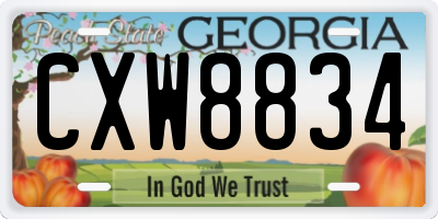 GA license plate CXW8834