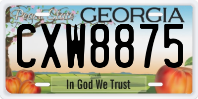 GA license plate CXW8875