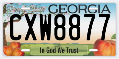 GA license plate CXW8877
