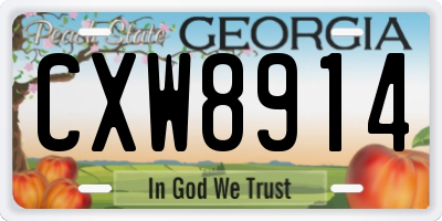 GA license plate CXW8914