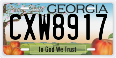 GA license plate CXW8917
