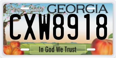 GA license plate CXW8918