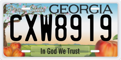 GA license plate CXW8919