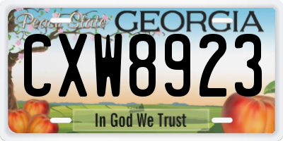 GA license plate CXW8923