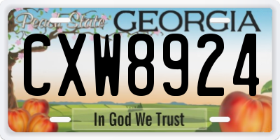 GA license plate CXW8924