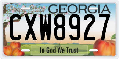 GA license plate CXW8927