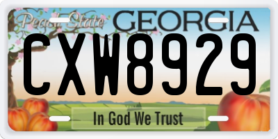 GA license plate CXW8929