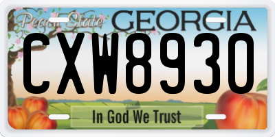 GA license plate CXW8930