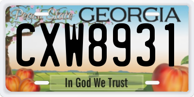 GA license plate CXW8931