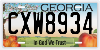 GA license plate CXW8934